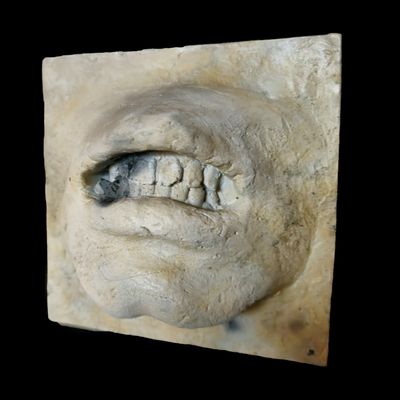 Universal Emotion II