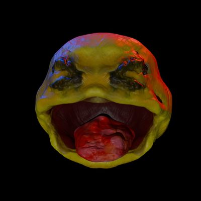 Grinning Squinting Face