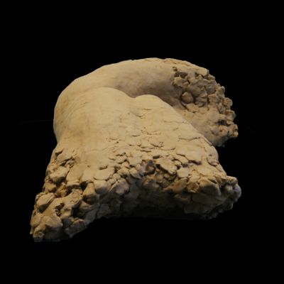 Boundary - clay model